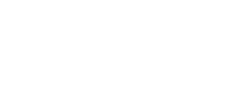 Evlüce Group
